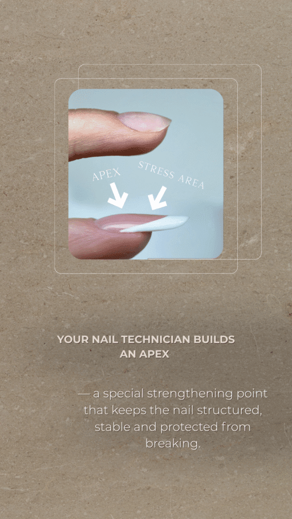 A close-up of a nail apex and stress area showing builder gel manicure structure in Tampa.