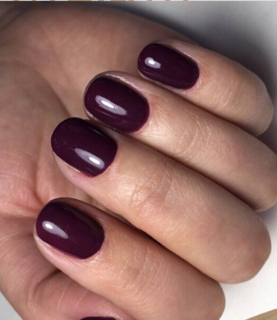 Deep plum manicure with glossy finish created in a russian manicure salon in Tampa.
