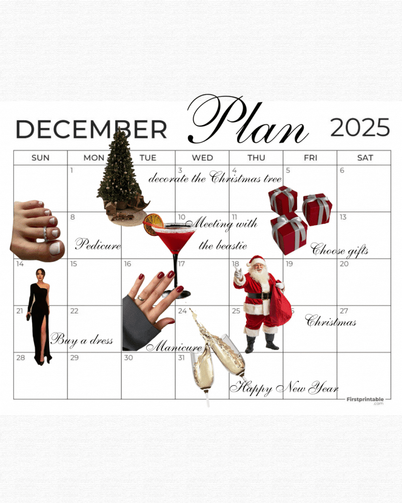 December planner with festive icons and russian nails inspiration in Tampa.
