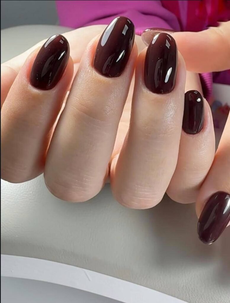 Glossy dark manicure showcasing russian manicures near me in Tampa, Florida